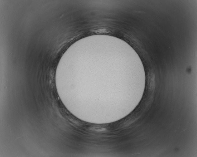 X0000115840747200912242016