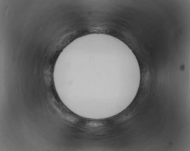 X0000115840749200912242016