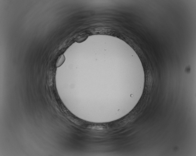 X0000115840751200912242016