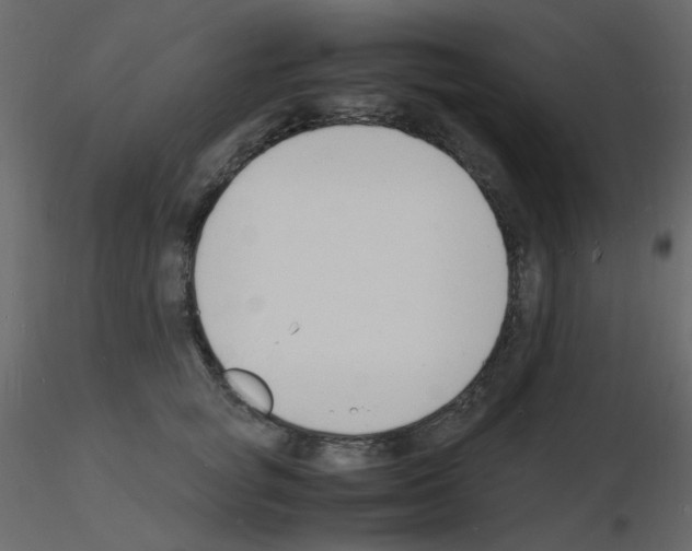 X0000115840757200912242016