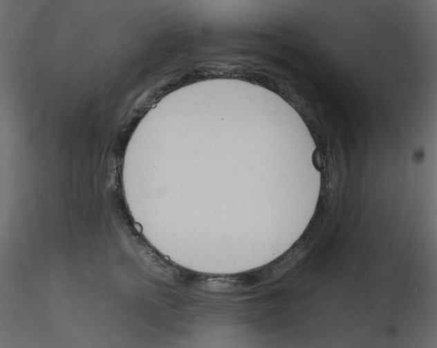 X0000115840758200912242016