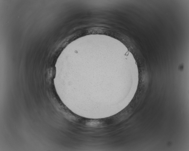 X0000115840759200912242016