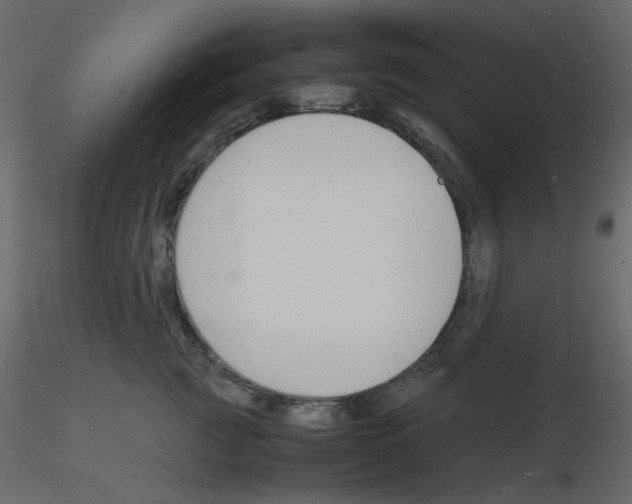 X0000115840761200912242016