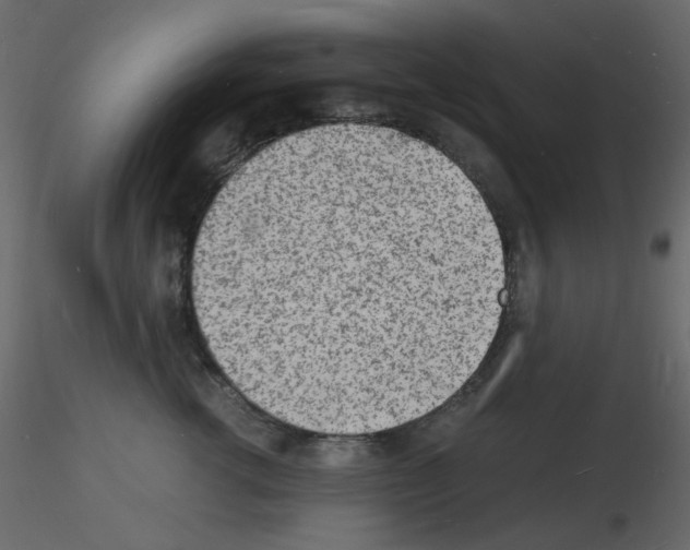 X0000115840762200912242016