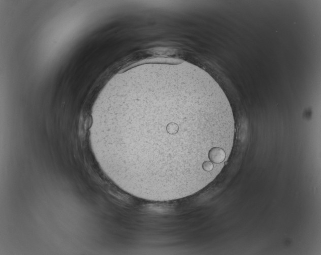 X0000115840763200912242017