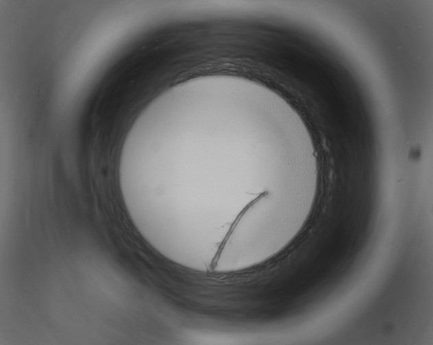 X0000115840766200912242017