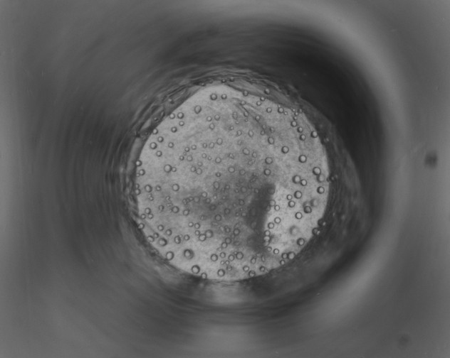 X0000115840767200912242017