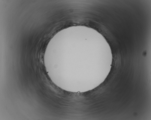 X0000115840770200912242016