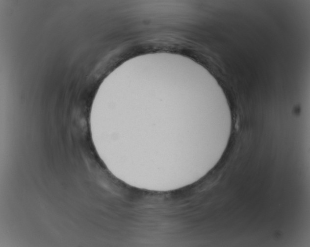 X0000115840771200912242016