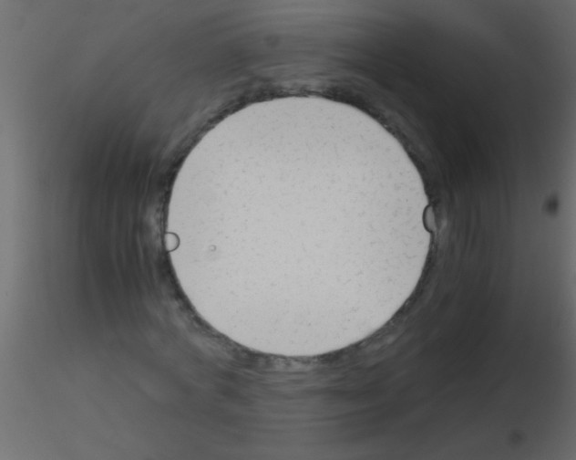 X0000115840772200912242016