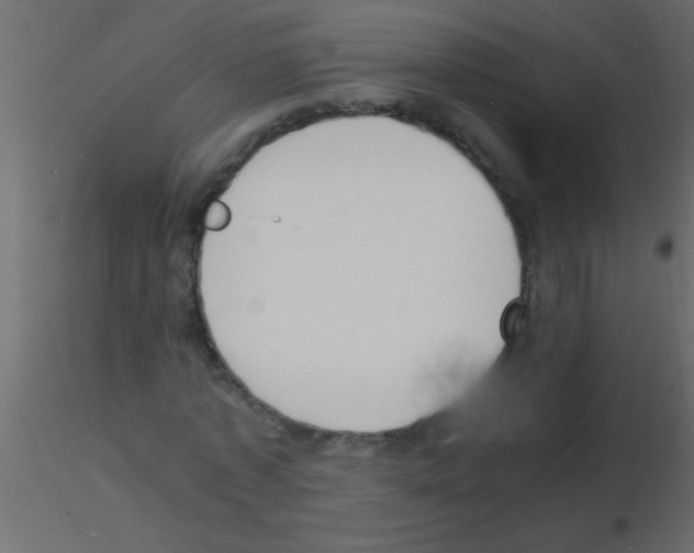 X0000115840773200912242016