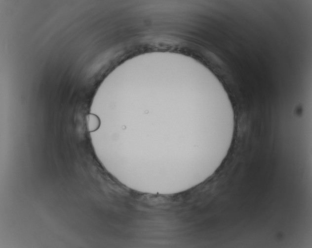 X0000115840774200912242016