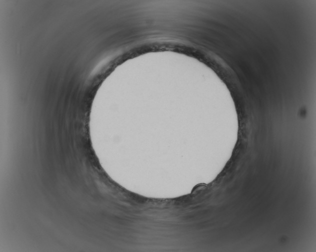 X0000115840775200912242016