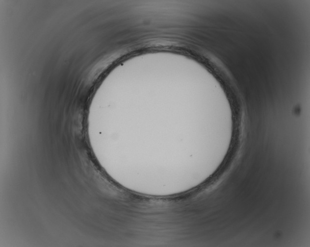 X0000115840777200912242016