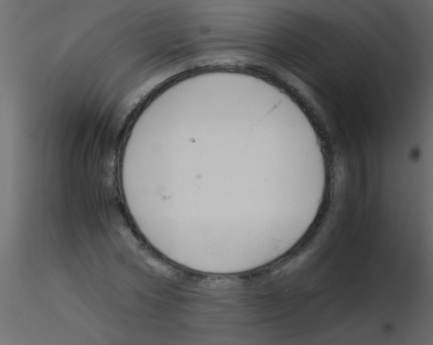 X0000115840778200912242016