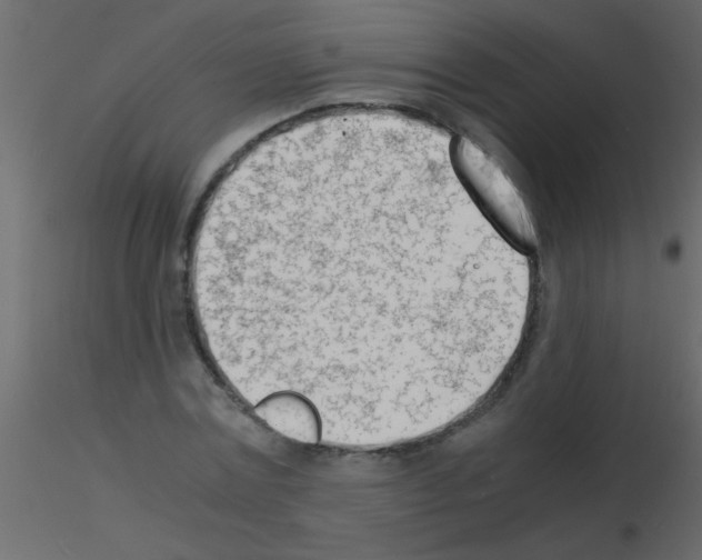 X0000115840779200912242016