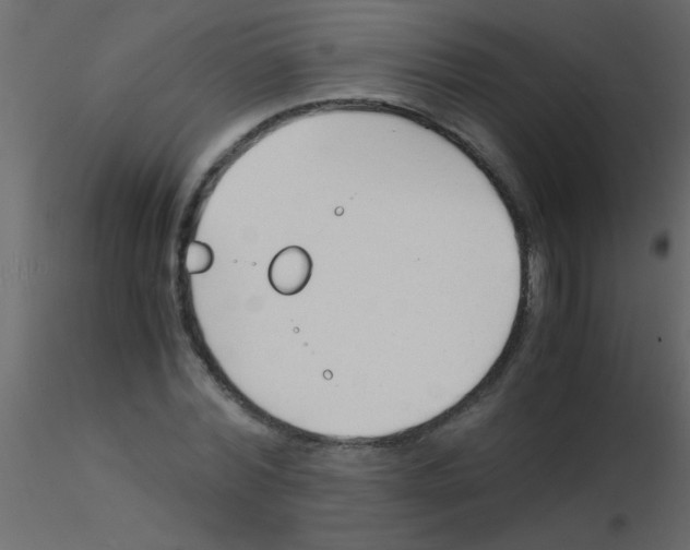 X0000115840780200912242016