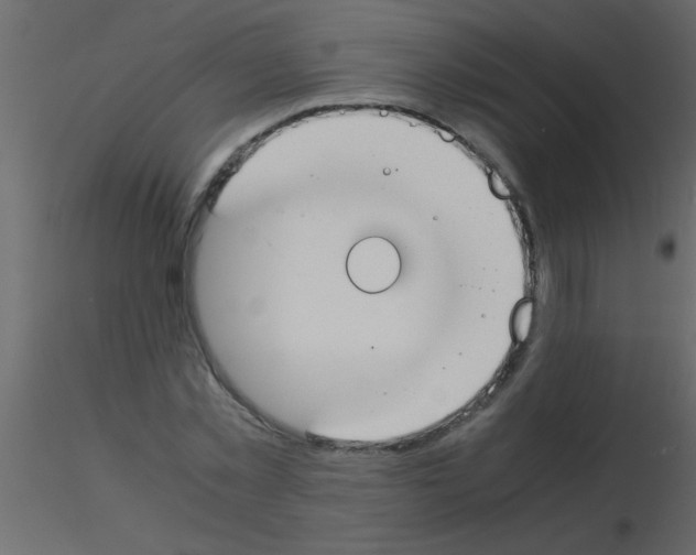 X0000115840781200912242016