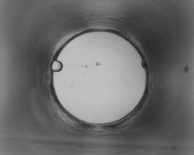 X0000115840787200912242016