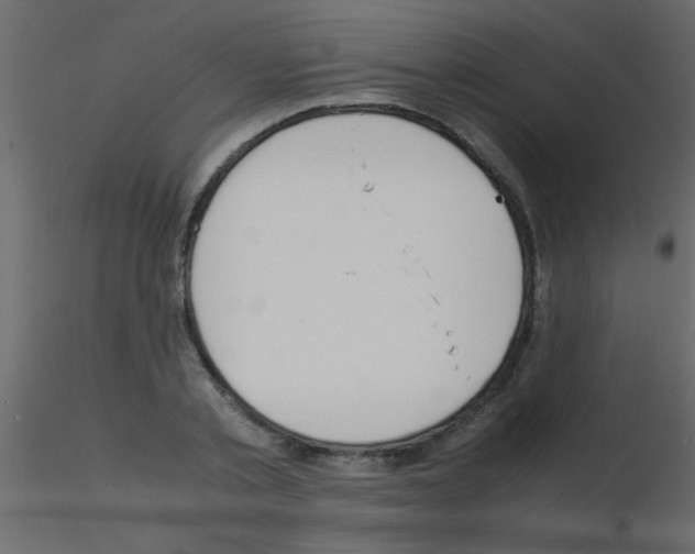 X0000115840789200912242016