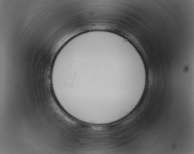 X0000115840794200912242016