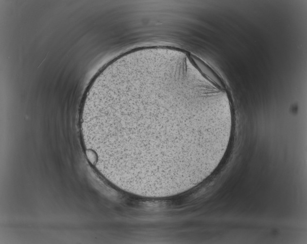 X0000115840797200912242016