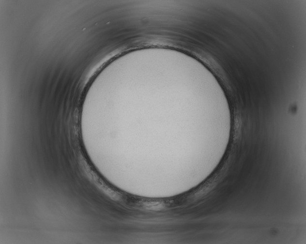 X0000115840798200912242016