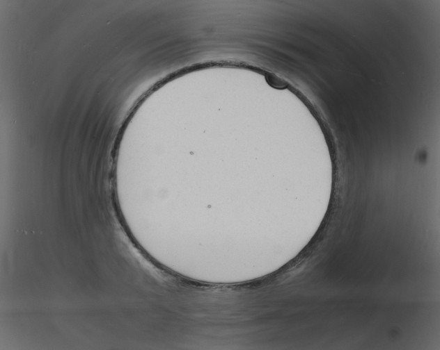 X0000115840799200912242016