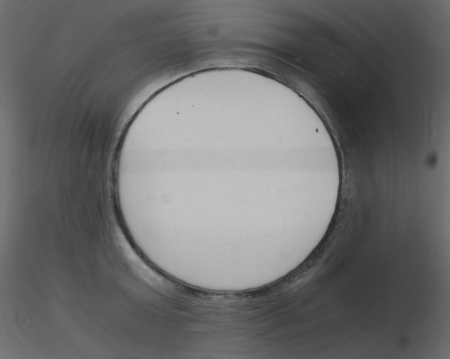 X0000115840803200912242015