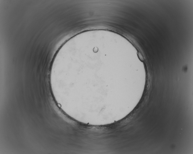 X0000115840805200912242015