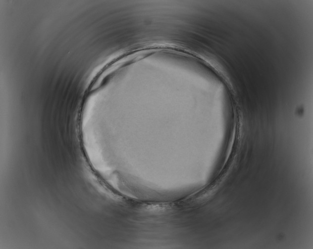 X0000115840806200912242015