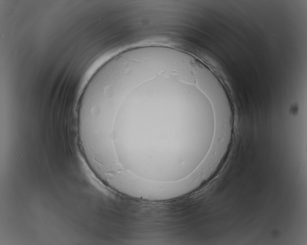 X0000115840808200912242015