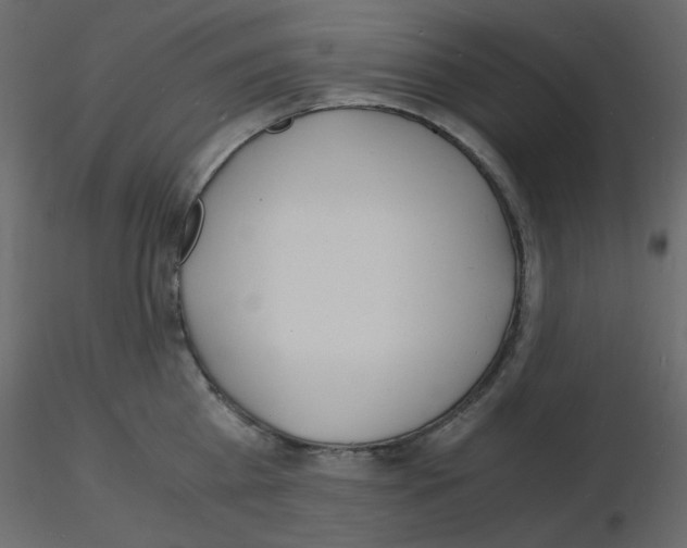 X0000115840809200912242015