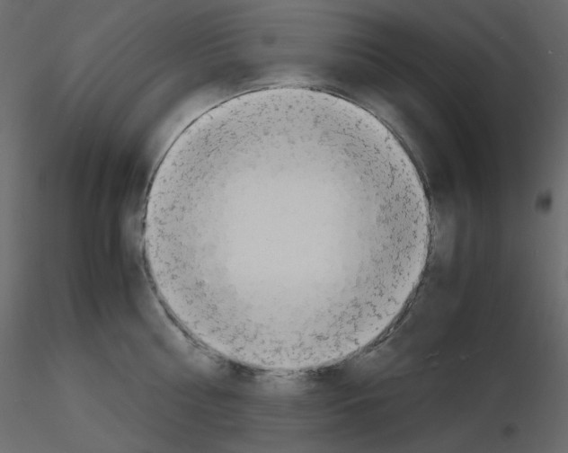 X0000115840810200912242015