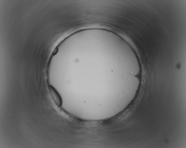 X0000115840813200912242015