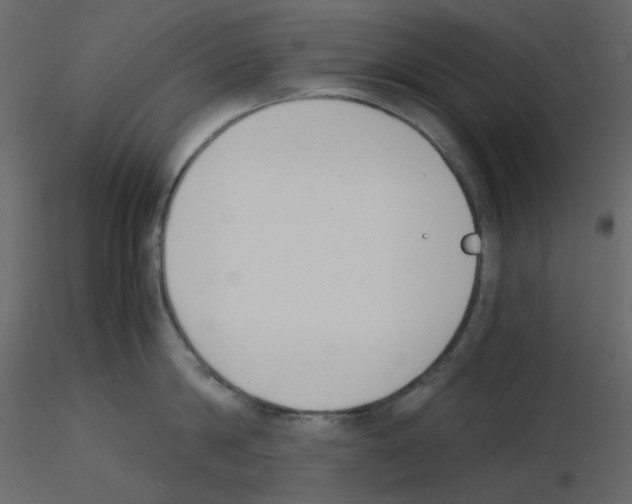 X0000115840814200912242015