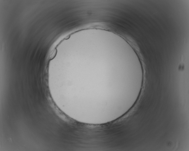 X0000115840816200912242015