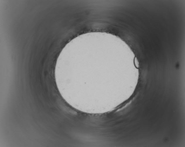 X0000115840817200912242015