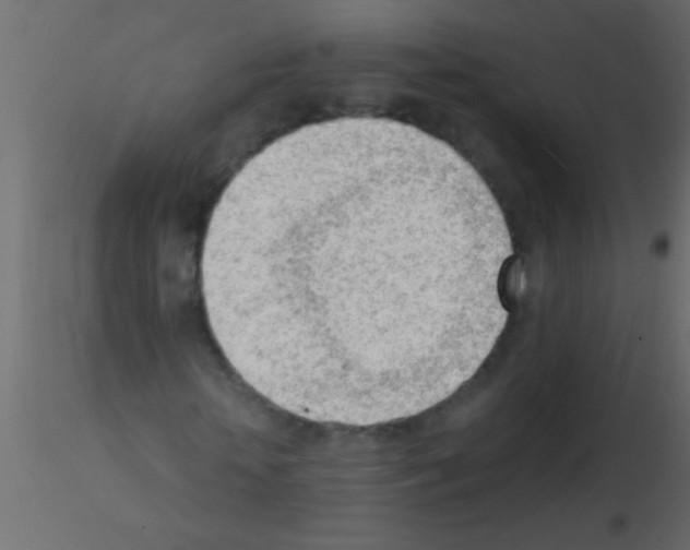 X0000115840818200912242015