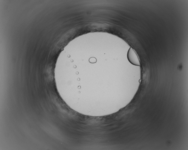 X0000115840819200912242015