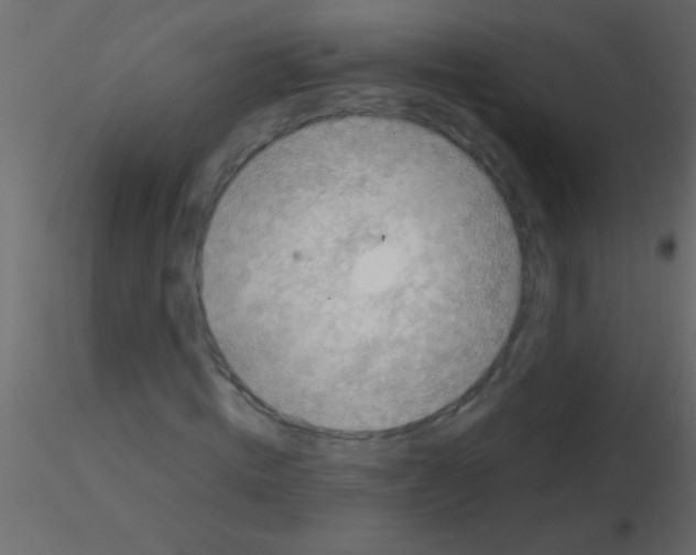 X0000115840820200912242015