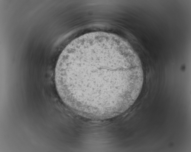 X0000115840822200912242015