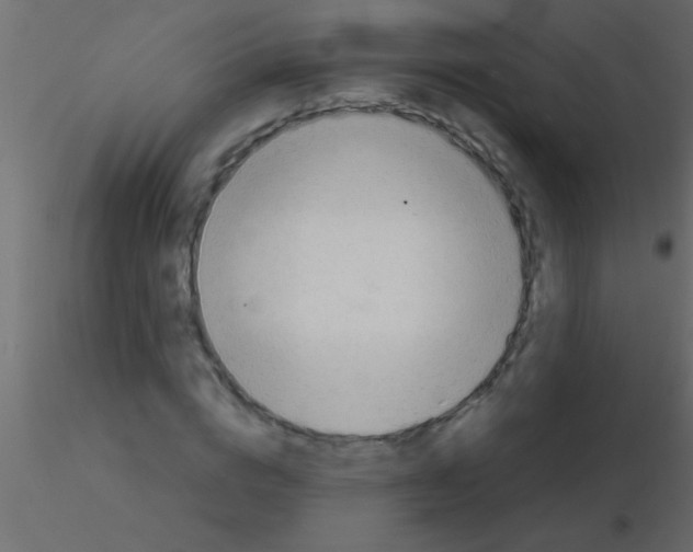 X0000115840824200912242015