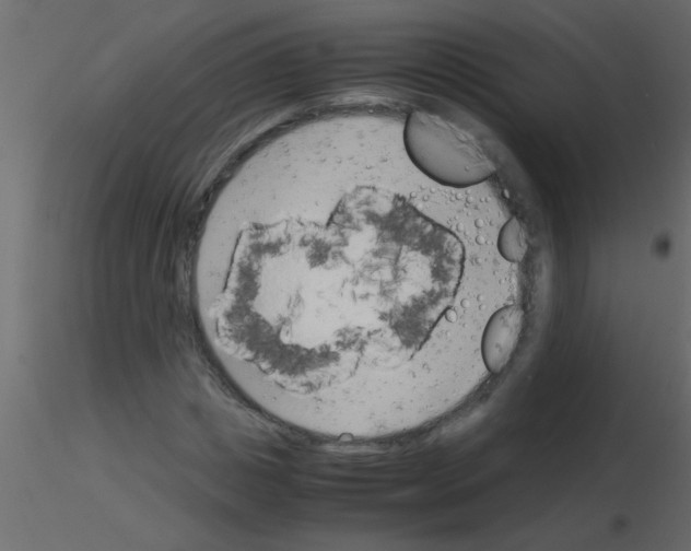 X0000115840825200912242015