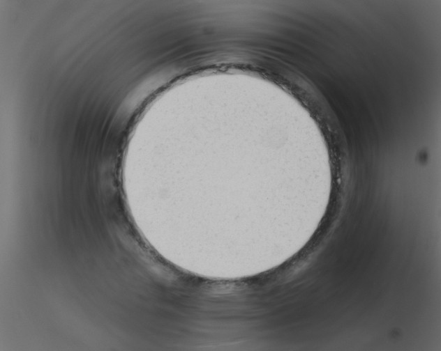 X0000115840826200912242015