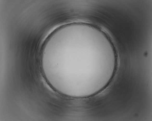 X0000115840828200912242015