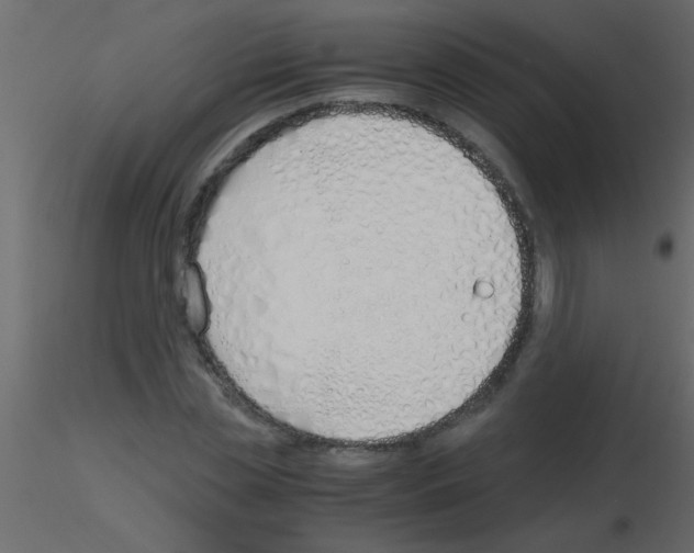 X0000115840829200912242015