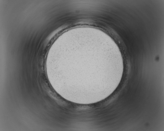 X0000115840830200912242015