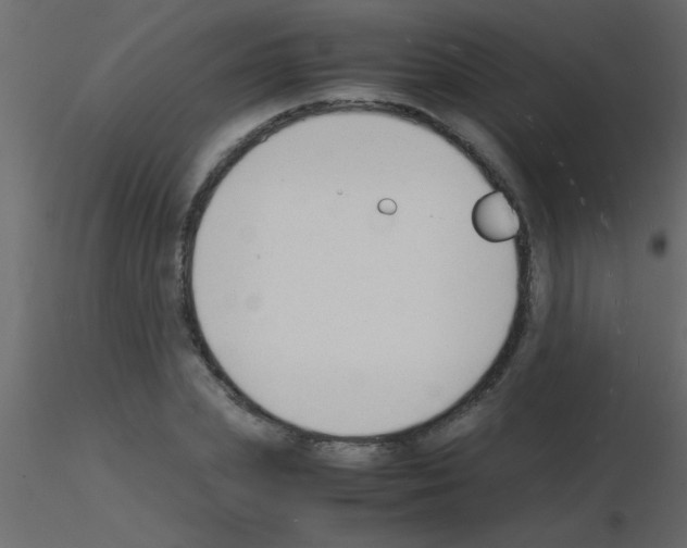 X0000115840831200912242015