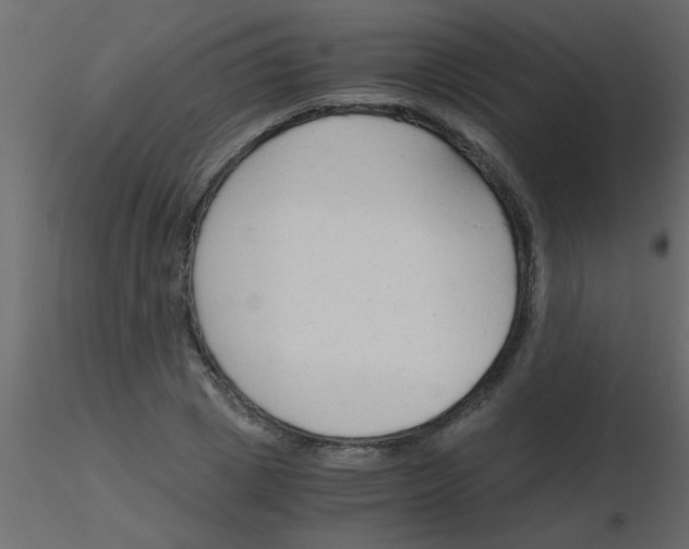 X0000115840833200912242015